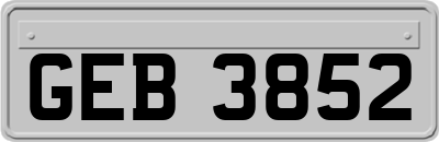 GEB3852