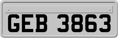 GEB3863