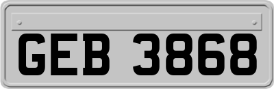 GEB3868