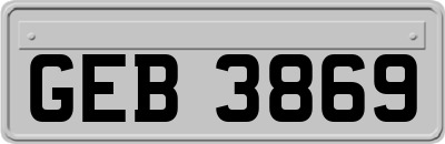 GEB3869