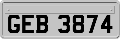 GEB3874