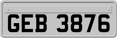GEB3876