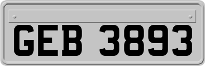 GEB3893