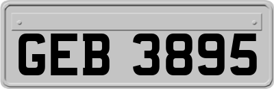 GEB3895