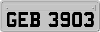 GEB3903