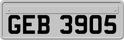 GEB3905