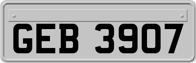 GEB3907