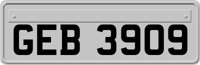 GEB3909