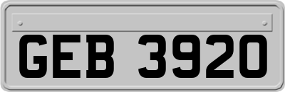 GEB3920
