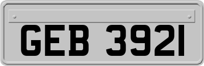 GEB3921