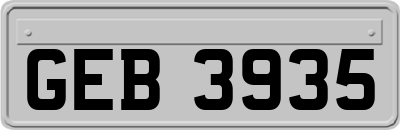 GEB3935