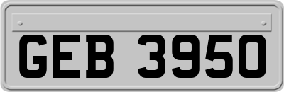 GEB3950