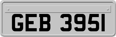 GEB3951