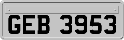 GEB3953