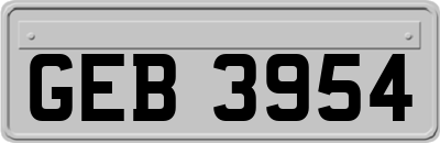 GEB3954