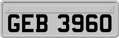 GEB3960