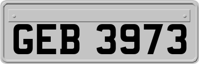 GEB3973