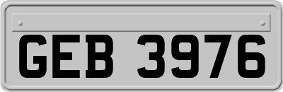 GEB3976