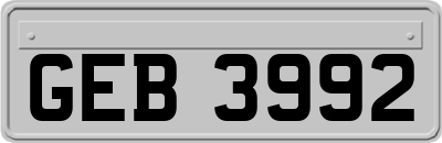 GEB3992