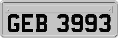 GEB3993