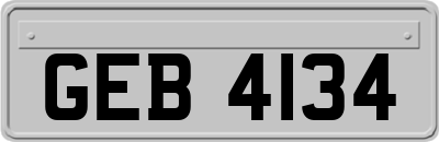 GEB4134