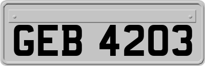 GEB4203