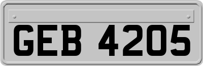 GEB4205