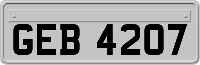 GEB4207