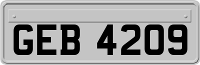 GEB4209