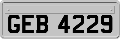 GEB4229