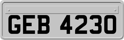 GEB4230