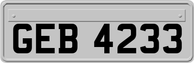 GEB4233