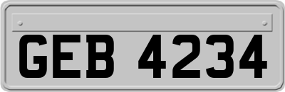 GEB4234