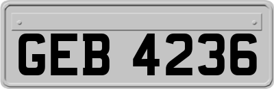 GEB4236