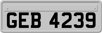 GEB4239