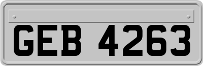 GEB4263