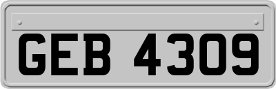 GEB4309