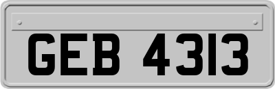 GEB4313