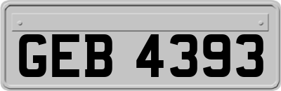 GEB4393