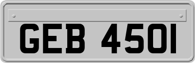 GEB4501
