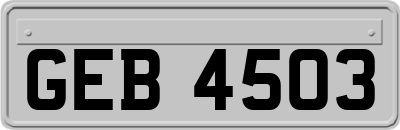 GEB4503
