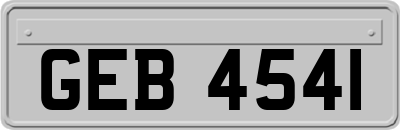 GEB4541