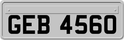 GEB4560