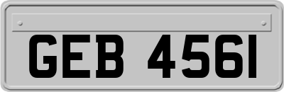 GEB4561