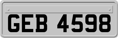 GEB4598