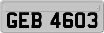 GEB4603