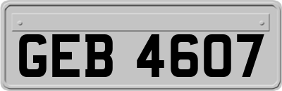 GEB4607