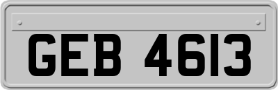 GEB4613