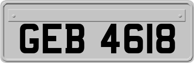 GEB4618