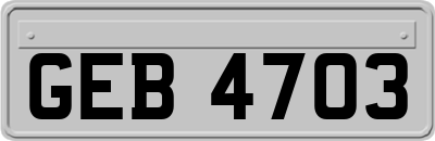 GEB4703